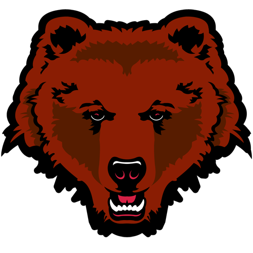 Brown Bears